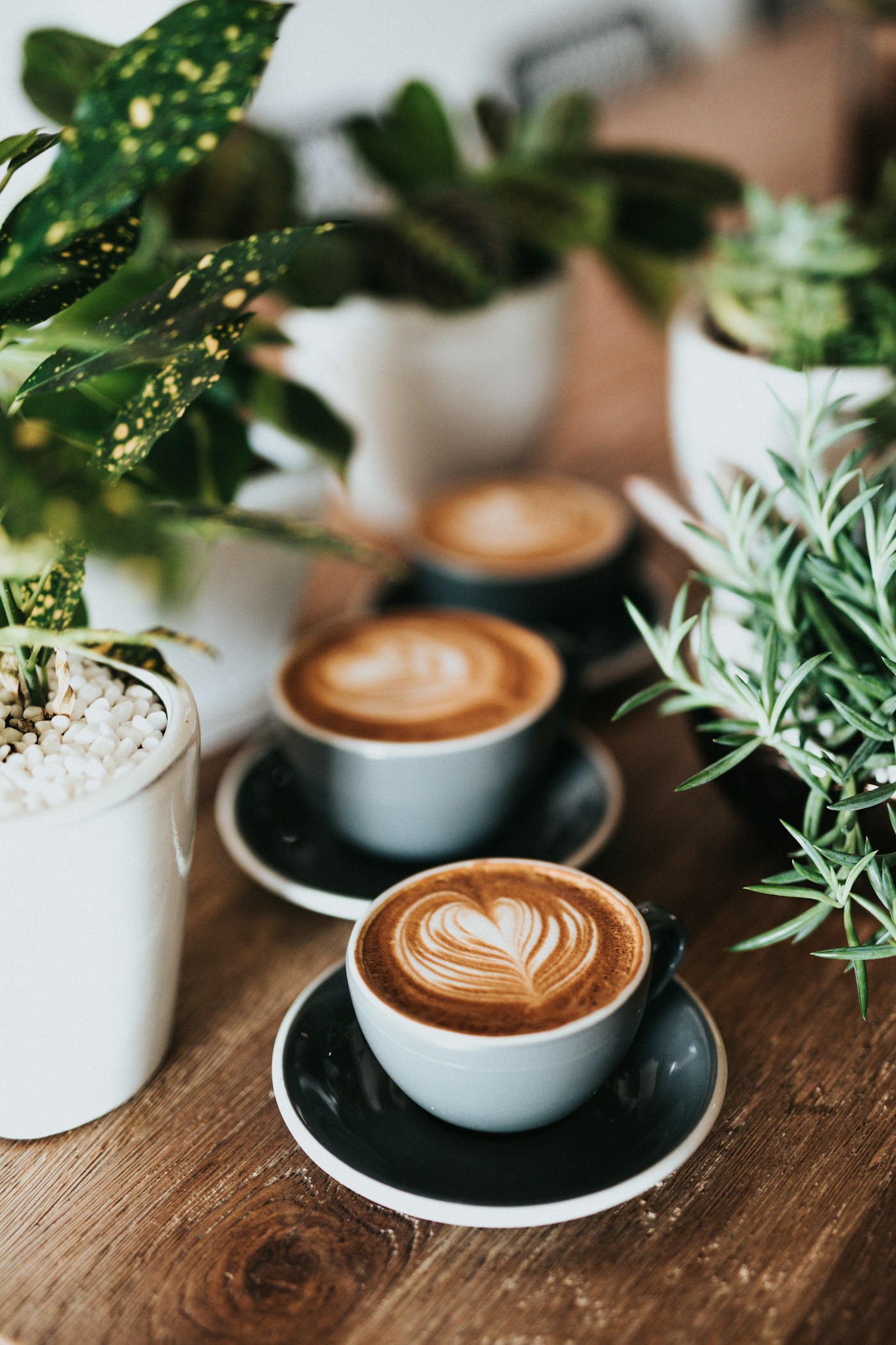 Café de origem